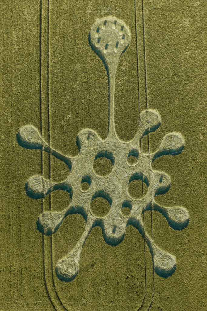 Kornkreis-Piktogramm